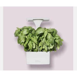 SHORT STORIES LED USB Indoor Planter, with Basil Seeds, White